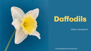 Daffodils  William Wordsworth  IWandered Lonely as a Cloud Poem with Explanation [upl. by Nasya]