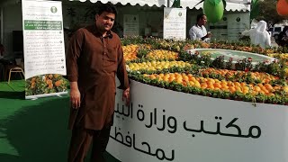 Orange Festival in Al hariq Saudi Arabia 28122018 [upl. by Yerrok879]