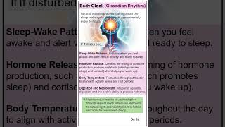 Body Clock Circadian Rhythm [upl. by Siladnerb]