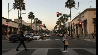 Exploring Los Angeles CA Christmas decoration  Beautiful streets [upl. by Liu728]