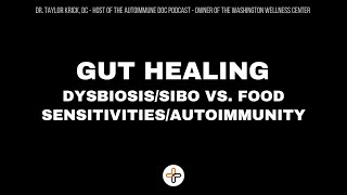 GUT HEALING   DysbiosisSIBO vs Food SensitivitiesAutoimmunity [upl. by Kester]