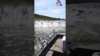 Whats the best spillway in the USA fishing spillway carpfishing carp [upl. by Cailean]