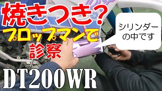 DT200WR エンジンの焼き付き症状の原因をプロップマンの社長と一緒に探っていきます。2ストオイルの選定ミスではないか、との疑念が・・・ DT200 焼き付き 2ストオイル [upl. by Akemak]