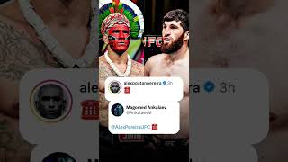 Magomed Ankalaev VS Alex Pereira UFC310 😌⁉️⁉️ufc mma khabib [upl. by Euton]