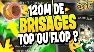 LE BRISAGE RENTABLE OU PAS  JE DETRUIT 120 M D ITEMS [upl. by Inneg382]