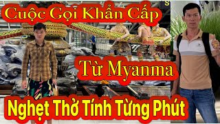 ❌️Nghẹt Thở Tính Từng Phút quot Cuộc Gọi Khẩn Cấp Từ Myanmarquot Hãy Cứu Con Thanh Niên 2K1 [upl. by Halliday]