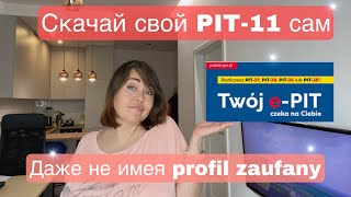 4 Работодатель не выдал ПИТ11 Что делать Как найти PIT11 с помощью Twój ePIT [upl. by Yve]