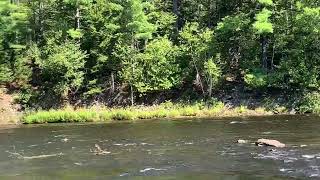 Stair Falls in Katahdin Woods and Waters [upl. by Kcirrek73]