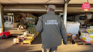 Siracusa controlli del Noras del Corpo Forestale al mercato sequestrati 2800 chili di prodotti [upl. by Avirt]