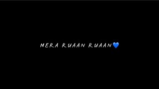 Ishq Gehra Mera Tujhpe Pehra Mera  Ruaan  Tiger 3  Black Screen Status  WhatsApp Status 💜 [upl. by Viridis671]