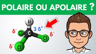 Molécule polaire ou apolaire  ✏️ Exercice  1ère  Physique Chimie [upl. by Yhtommit]