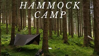 Hammock Camping in a Gorgeous Pine Forest onewindhammock bushcraft [upl. by Ykciv]