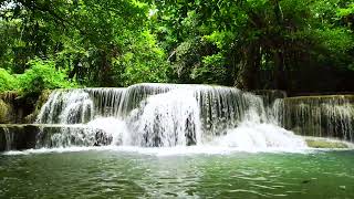 Wasserfallgeräusche mit Vogelgezwitscher im Wald Naturgeräusche zum Einschlafen amp Entspannen [upl. by Oliy]