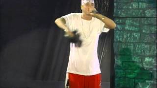 Dr Dre amp Eminem  Forgot About Dre Live California [upl. by Eserahs]