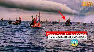 Heboh  para nelayan SE Situbondo saling berebut ikan di pantai landangan [upl. by Aia]