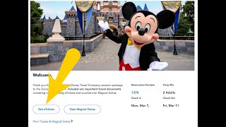 Link Your Disneyland Tickets to Your App [upl. by Kallman780]