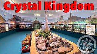 The Biggest Fossil collection in THE WORLD  Crystal Kingdom [upl. by Koralie]