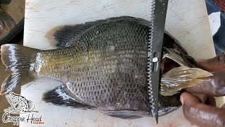 The Easiest Way to Filet Bluegill [upl. by Sixela149]