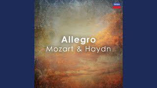 Haydn Piano Trio in F HXV No 39 3 Allegro [upl. by Aidahs466]