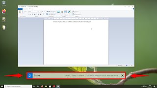 Comment utiliser la dictée vocale de Windows 10 [upl. by Ecirehc906]