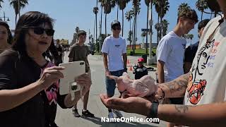 SPHyNX HAIRLESS KITTENS VENICE BEACH CALIFORNIA JUNE 29 2024 [upl. by Nauwaj]