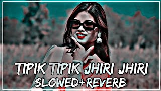 Tipik Tipik Jhiri Jhiri Jol Poriche Purulia Lofi Mix  Dj Vicky x Dj Rocky  SlowedReverb lofi [upl. by Baumbaugh]