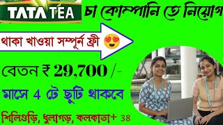 মাসে 29000 টাকা  প্যাকিং কাজ  Tata tea job vacancy 2024  High Salary job kolkata [upl. by Ramel]