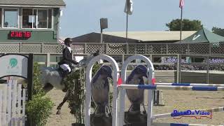 081S Camille Batoy on Femme Fatale WE Open Modified Show Jumping Woodside October 2024 [upl. by Casper]