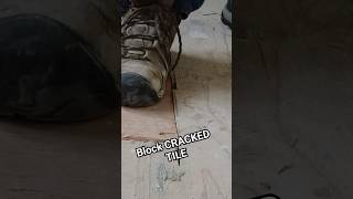 Avoid cracked tiles tile shorts crackedtile [upl. by Ynamreg]