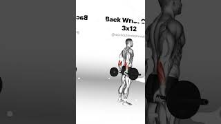 Strengthen Your Wrists Best Barbell Exercises for Powerful Grip [upl. by Philender972]