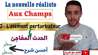 Aux Champs  lélément perturbateur lecture et analyse [upl. by Boeke]