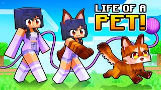 Having a PET LIFE in Minecraft [upl. by Selia]