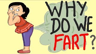 WHY SILENT FART SMELLS BAD  HINDI  SCIENCE FACTS [upl. by Katharina]