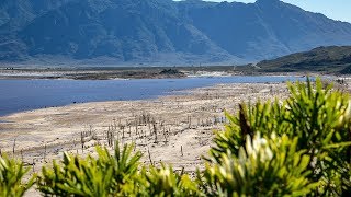 Rain rain never go away See how Cape Town’s dam levels are rising [upl. by Lipp]