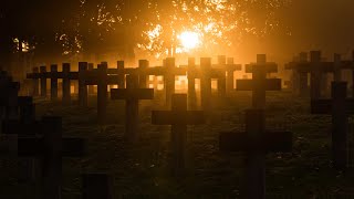 German War Cemetery Ysselsteyn  Timelapse 4K [upl. by Freeland116]