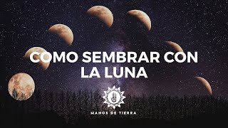 Como Sembrar Con LA LUNA 2024 cultivar con fases lunares calendario lunar [upl. by Hanae]