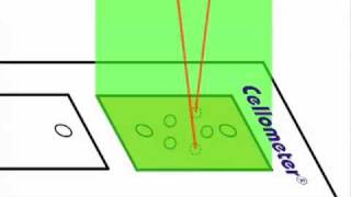 How Dualfluorescent AOPI Assays Work for Cell Concentration and Viability [upl. by Stefa]