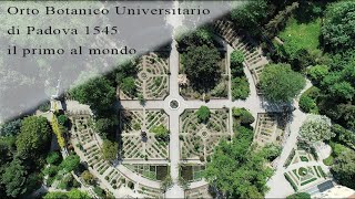 ORTO BOTANICO UNIVERSITARIO di Padova del 1545 primo al mondo a cura profssa Elena Canadelli [upl. by Zeret]