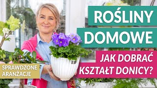 ROŚLINY DONICZKOWE Jak dobrać kształt donicy do roślin domowych Stylowe aranżacje  GREEN CANOE [upl. by Remoh]