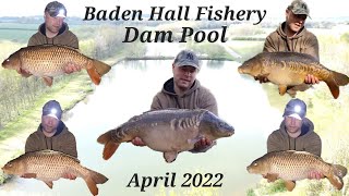 Baden Hall Fishery  Dam Pool  Carp Fishing  April 2022 [upl. by Anneres]