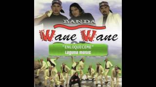 Banda Wane Wane  Enloqueceme AUDIO [upl. by Katy]