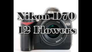 NIKON D70 CAMERA TEST REVIEW [upl. by Lebatsirc]