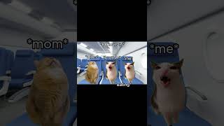 CAT MEMES 🐱 12 HOUR Flight To Korea catmemes relatable shorts [upl. by Alrac]