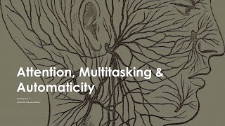 Attention Multitasking amp Automaticity [upl. by Kiri]