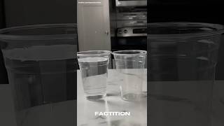 Capillary Action🔥🤯facts science [upl. by Bourque]