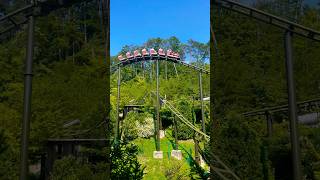 FireChaser Express launches backwards dollywood fun attraction rollercoaster amusementpark fy [upl. by Jaimie]