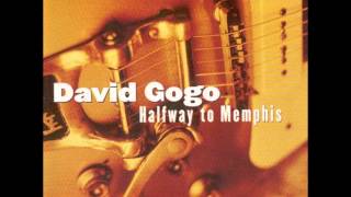 DAVID GOGO Nanaimo British Columbia Canada  Louisiana Blues [upl. by Leina]