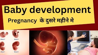 Pregnancy k dusre mhine me baby growth kese or kitni hoti he pregnancy pregnancytips babygrowth [upl. by Maxa97]