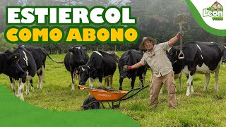 ⭐ ESTIÉRCOL de VACA y CABALLO como ABONO 2022 Como usar el estiércol como abono en el huerto 🍒 [upl. by Nnyltiac]