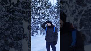 Hiking in Snow travel nature italy france switzerland snow trekking trending music forest [upl. by Aicener22]